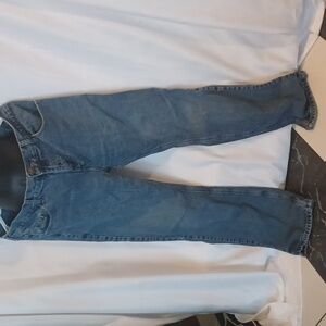 Field & Forest Flannel Lined Jeans size 10, 11" rise, 30" iNicole Studionseam